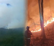 전국 건조특보 주말 산불 비상…이달 벌써 123건