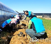 전북 정읍 샘골농협, 영농폐기물 집중수거 캠페인