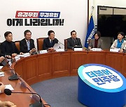 민주, '당헌 80조 삭제' 보도 이틀 만에 "논의 계획 없다"