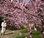 ‘봄 내려앉은’ 해남…3월 봄축제 잇달아 열려