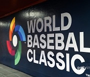 ‘스타 선수 부담↓’ WBC, 초겨울에 개최하면 어떨까?