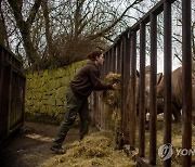 CZECH REPUBLIC ANIMALS RHINO