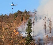 전국 곳곳서 산불…평창 진부면에선 밤샘 진화 작업 돌입