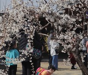 '완연한 봄 날씨' 충북 주요 관광지, 산 등 나들이객 발길 이어져