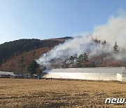 건조특보 속 강원 평창서 산불…민가 3가구 대피(상보)