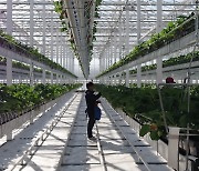 농업도 '탄소중립'...K-유기농 이끄는 친환경 전남
