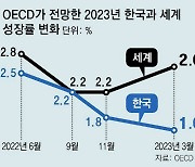 OECD, 올해 韓성장률 1.8→1.6% 또 낮춰… 세계 전망은 상향