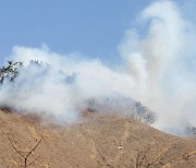 화순 야산 벌채지역에서 불..건조특보 속 산불주의