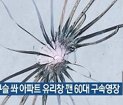 쇠구슬 쏴 아파트 유리창 깬 60대 구속영장