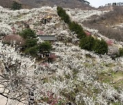 주말 낮잠 잔 당신, 나가서 뛰어요…운동은 몰아서 해도 ‘효과’