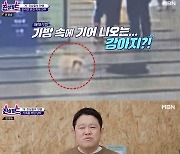김구라, 무인점포 강아지 유기+폭행 학대에 분노 “왜 키우냐”(진상월드)[결정적장면]