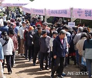 제21회 서귀포 봄맞이 축제 방문객 '북적'