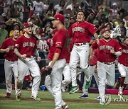 USA BASEBALL