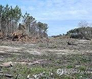 FRANCE WILDFIRE