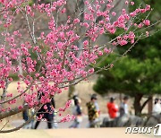 [오늘의 날씨] 부산·경남(19일,일)  대기건조 '산불조심'