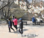 완연한 봄 날씨 만끽하는 시민들 [TF사진관]