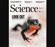 [표지로 읽는 과학] 한국 연구자가 밝힌 진화생물학 미스터리