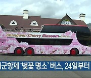 진해군항제 ‘벚꽃 명소’ 버스, 24일부터 운행
