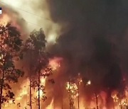 “기후변화로 산불 증가”…꼬리 문 악순환