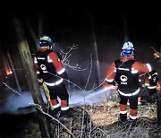 밤샘 산불로 전남 순천서 주민 59명 대피…밤낮 없는 산불