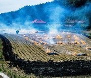 산림 인근에서 논·밭두렁 태우면 과태료 100만원…방화범에는 징역 15년까지 선고