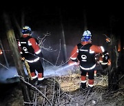 주말 곳곳에서 산불 20여건 발생···담뱃불·화목보일러·쓰레기소각 등이 원인