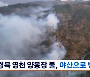 영천·제천서 산불…산불 재난 국가위기 '경계' 발령