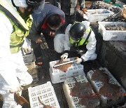 해수부, 전남 홍도 인근 해상서 불법조업 중국어선 2척 나포