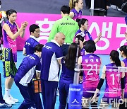 [ST포토] 김연경, '정규 우승 확정 짓고 벤치에서 응원'