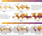 IPCC "온실가스 감축 노력無 전지구 4℃↑…1.5℃로 묶어야"