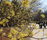 [오늘의 날씨] 광주·전남(20일, 월)…흐리고 오전 한때 안개