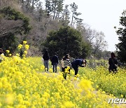 잡풀 무성 '증평송산 학교용지' 유채꽃밭 만든다