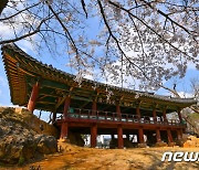 삼척 죽서루 '국보' 승격될까…24일 문화재청 현지실사