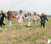 '국가정원, 우리 손으로' 충주시, 탄금공원에 청보리밭 조성