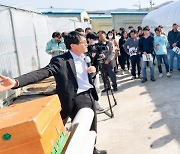 꿀벌 실종에 성주군, 참외하우스 연결형 꿀벌 수정 방법 보급