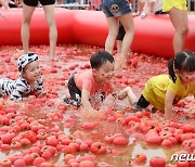 ‘TO마토 MA음껏 TO게더’…광주시 퇴촌 토마토축제 6월 개최