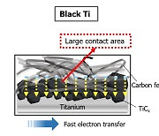 차세대 해수전지 성능 키운 건 ‘검정 옷’