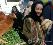 "빵이 없으면 닭발 먹으면…" 이집트 정부 대책에 격분