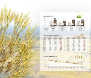 [강원경제 이슈체크] 원주빵·원소주·막걸리…쌀 ‘화려한 변신’ 소비 다각화