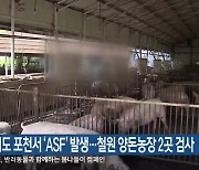 경기도 포천서 ‘ASF’ 발생…철원 양돈농장 2곳 검사