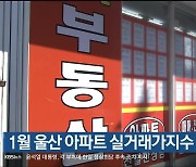 1월 울산 아파트 실거래가지수 0.18% 상승