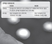 노무현·문재인의 꿈 ‘소수파 살릴 선거제’…관건은 비례대표 의석수 확대·배분 방법[국회의원 선거제도, 이번엔 바꾸자]