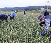 의성군, 두 달 살아보기 참가자 모집 외 [의성소식]