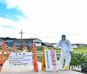 포천시 돼지농가서 ASF 발생..차단방역 나서