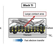"해수전지 성능, 검은색 옷 입혀 높인다"…UNIST 연구