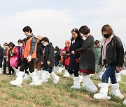 "청보리밭 걸으며 봄기운 만끽"