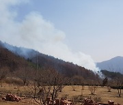 장수 장계면 야산 불…담뱃불 실화 추정