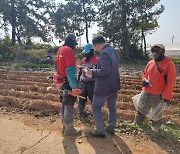 전남도, 계절근로자 근무실태·불편사항 중점 점검…이탈·일손부족 해결