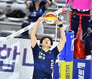 한선수·김연경, 정규 시즌 마지막 라운드 MVP
