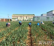 ‘초보’ 농민 대상 기초 영농교육